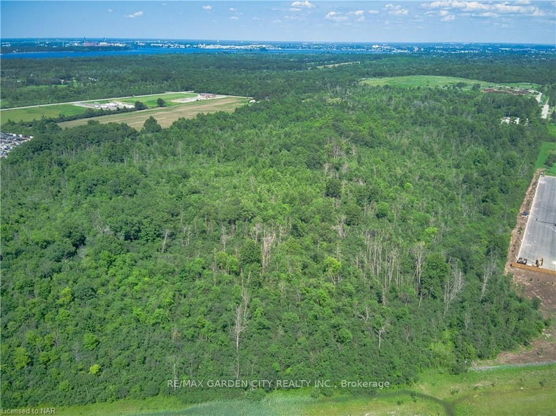 PT LT 7 CON 5 PETTIT PT1 Rd, Fort Erie, L2A 5M4 | Image 3