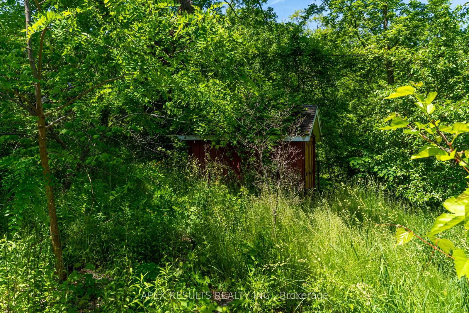 Listing Image 7