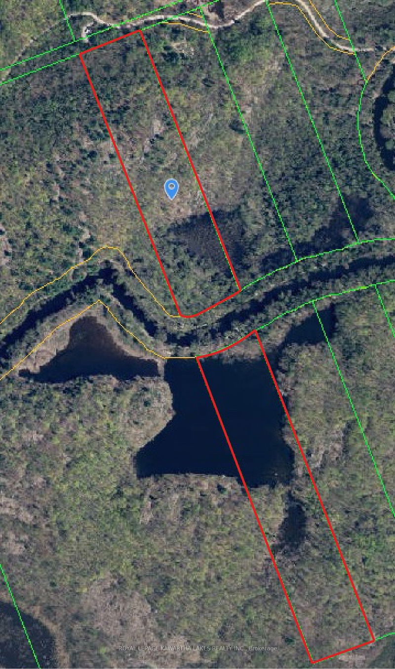 0 Black River Rd  Kawartha Lakes, L0K 2B0 | Image 18