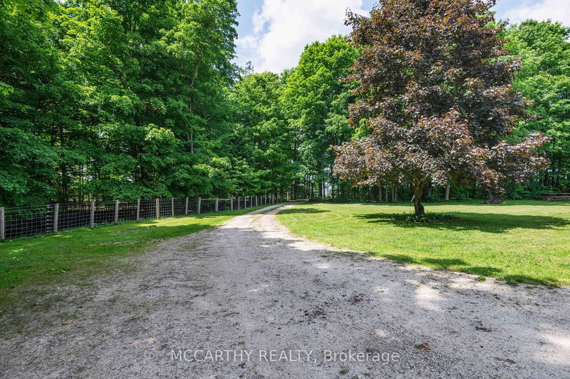 346244 4th Concession B   Grey Highlands, N0C 1E0 | Image 2