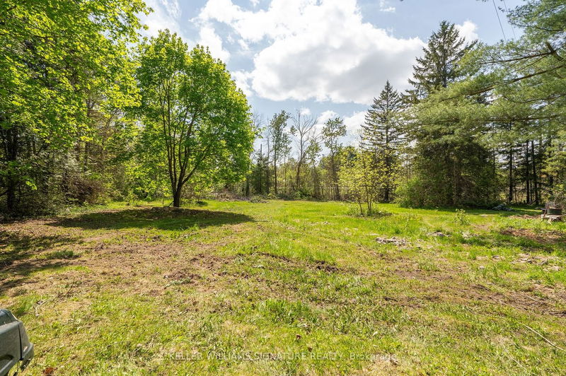 7296 Hwy 35 Rd  Kawartha Lakes, K0M 1K0 | Image 39