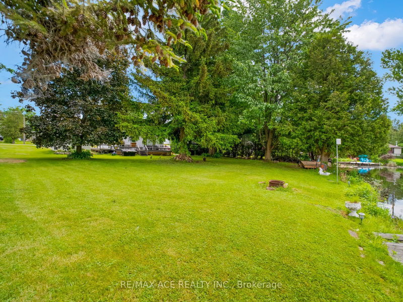 69 Blythe Shore Rd  Kawartha Lakes, K0M 1N0 | Image 24