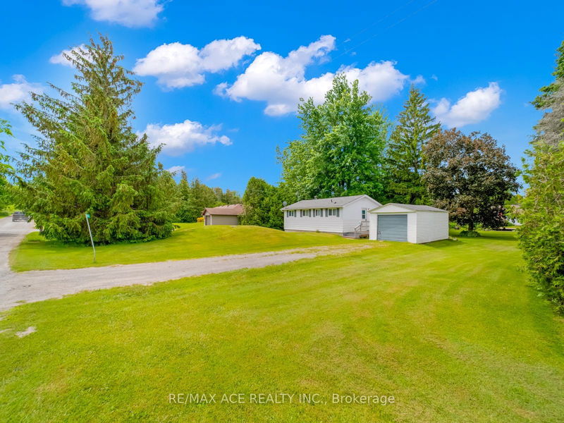 69 Blythe Shore Rd  Kawartha Lakes, K0M 1N0 | Image 8