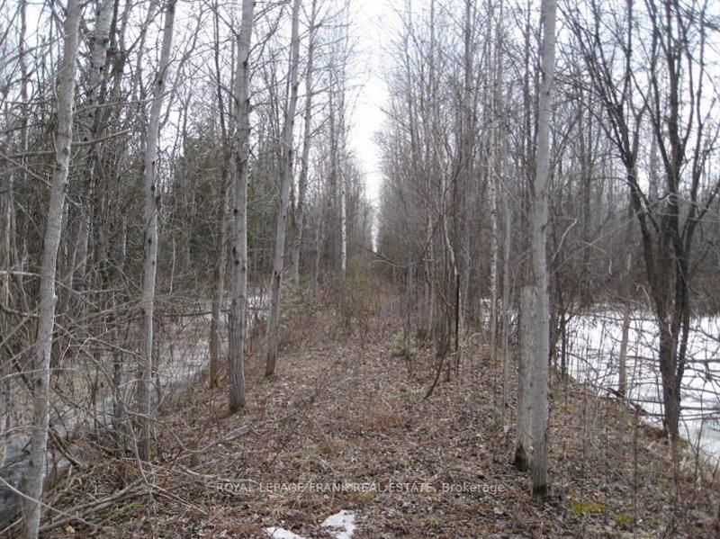 0 Mervin Line, Cavan Monaghan, K9J 6Z9 | Image 2