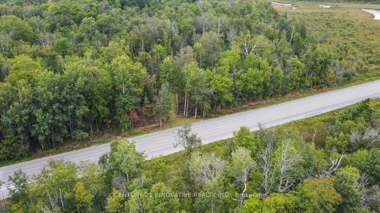791 Mount Horeb Road • Kawartha Lakes, ON photo 10