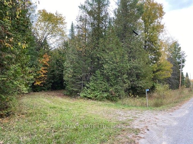 home for sale on 574 Cedar School Road