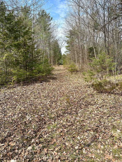 2981 County Road 44 — photo 6