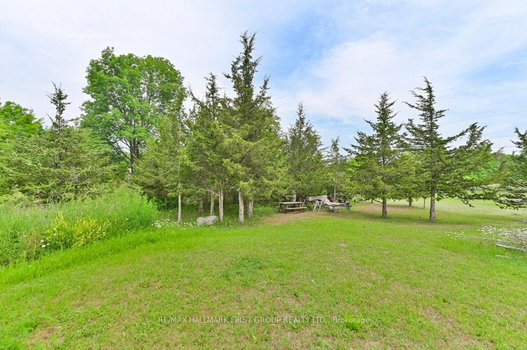 Listing Image 33