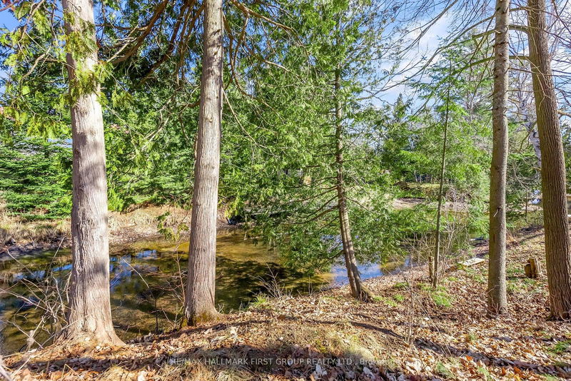 7 Duncan Dr  Kawartha Lakes, K0M 2B0 | Image 37