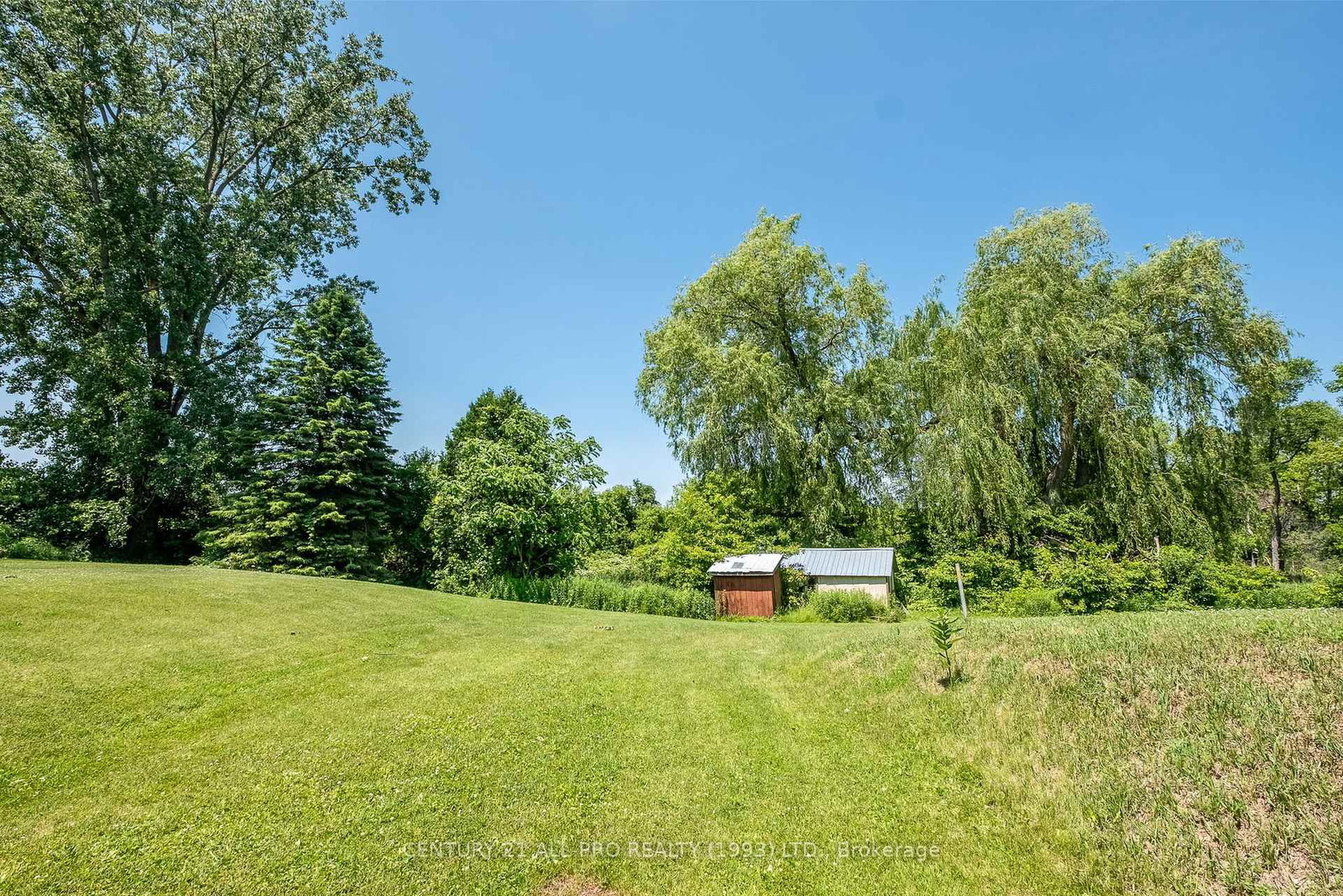 Listing Image 31