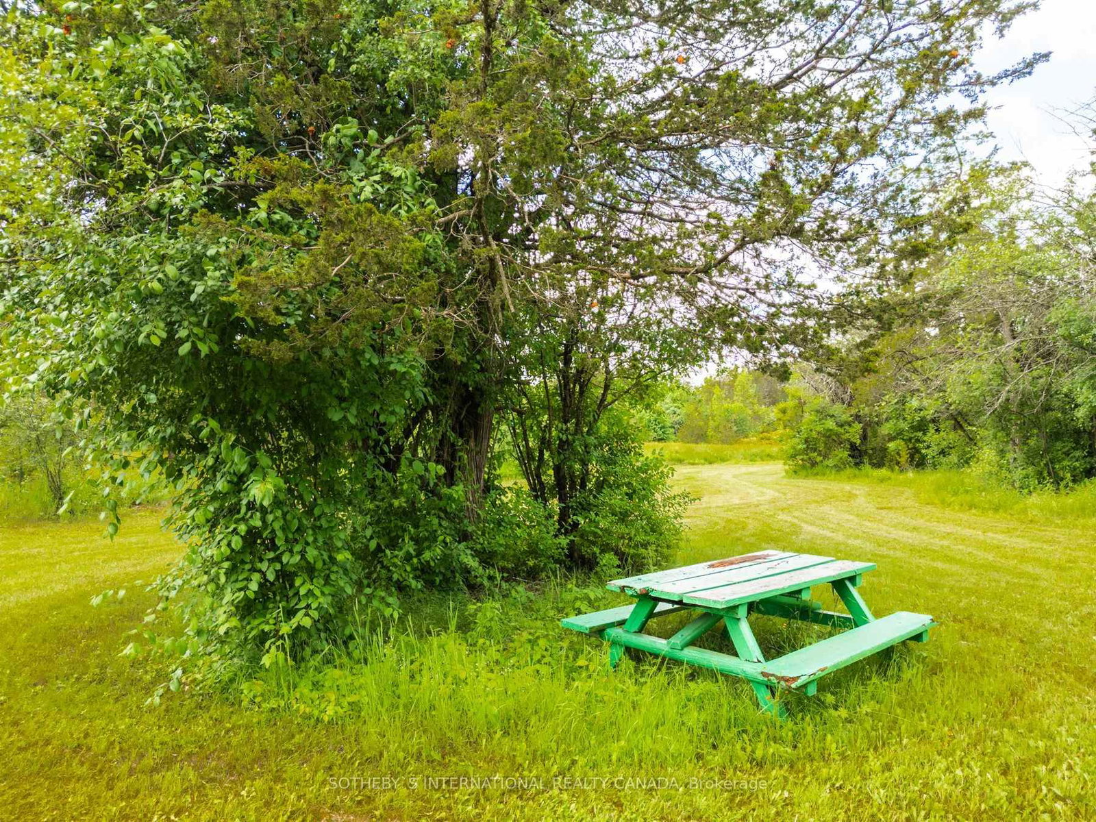 Listing Image 7