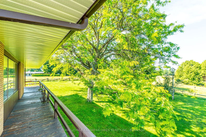 1357 Killarney Bay Rd  Kawartha Lakes, K0M 1G0 | Image 30