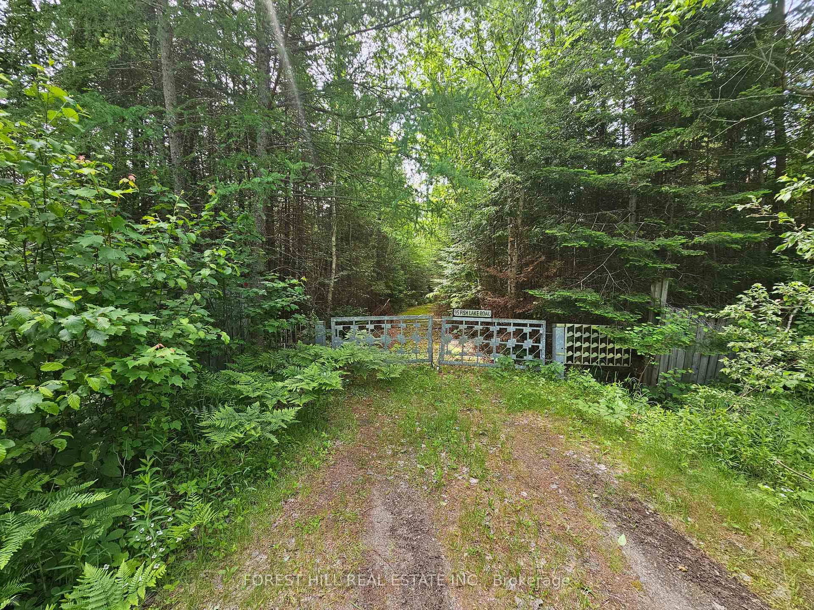 Listing Image 7