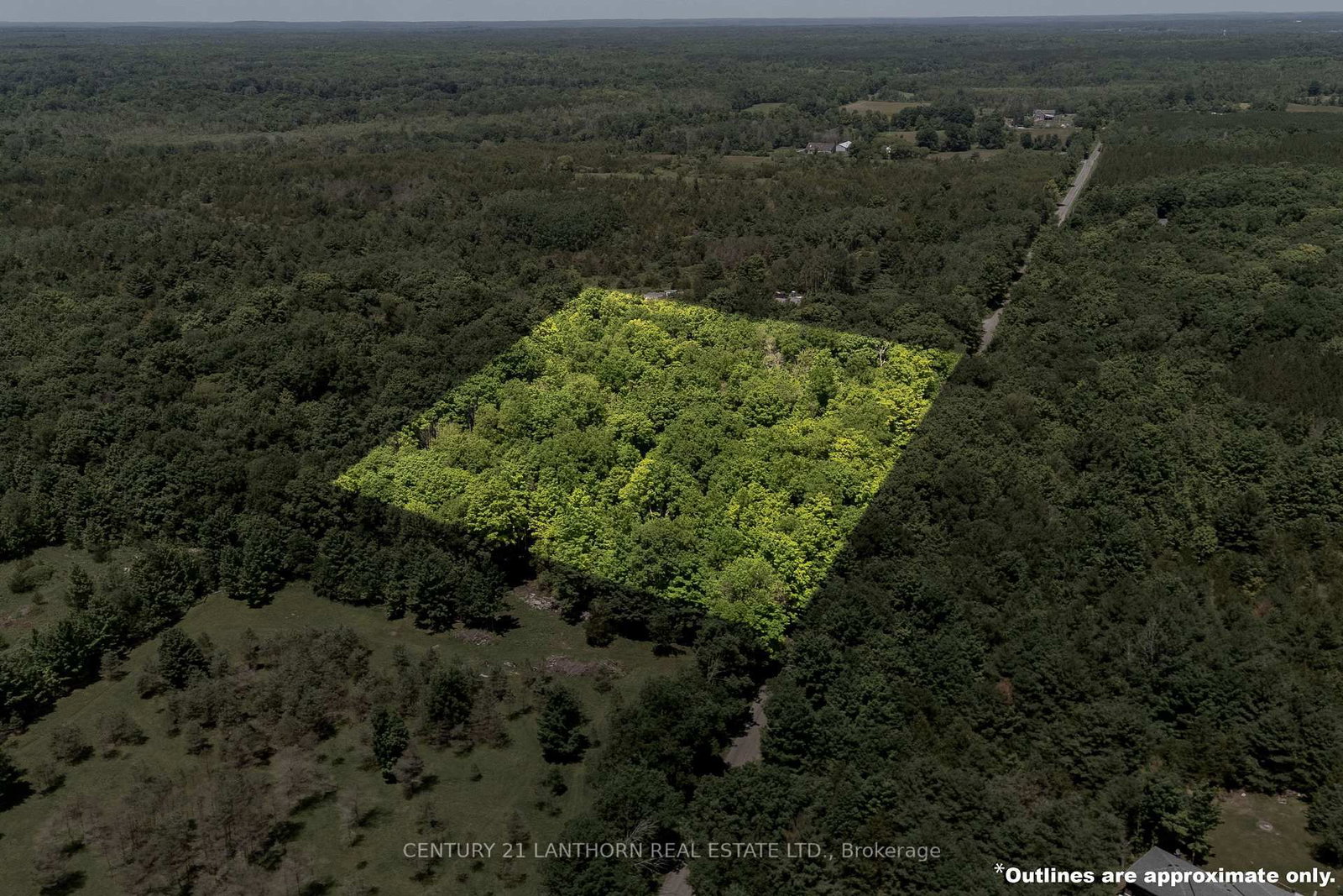 Listing Image 2