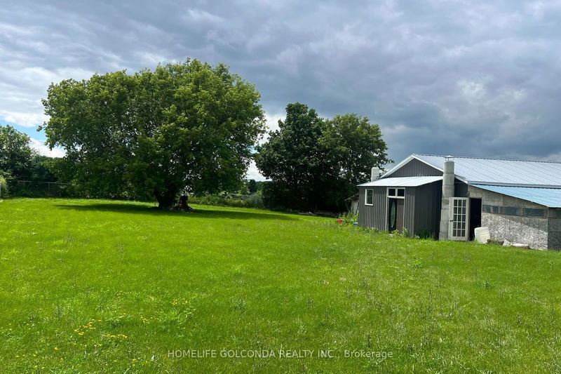 10858 Third Line Rd  Alnwick/Haldimand, K0K 2X0 | Image 14