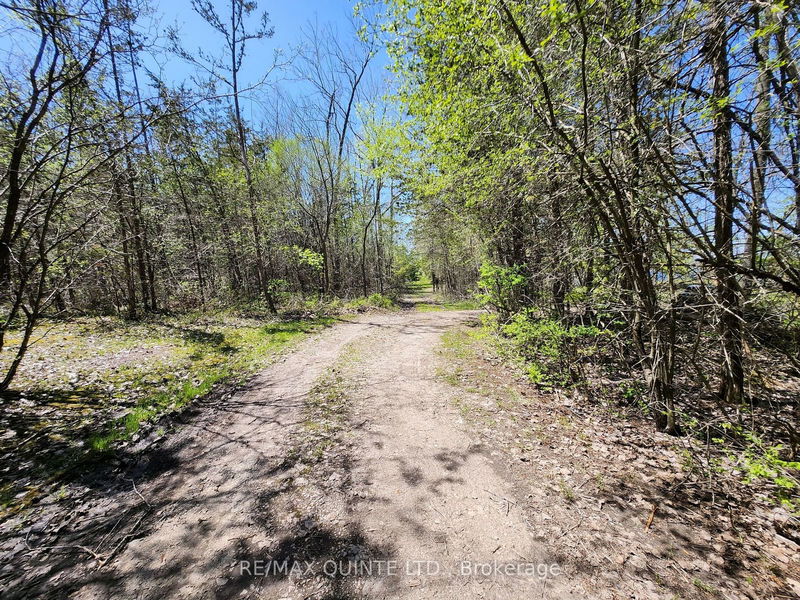 29 & 49 TRUMBLE Lane  Prince Edward County, K0K 2T0 | Image 23