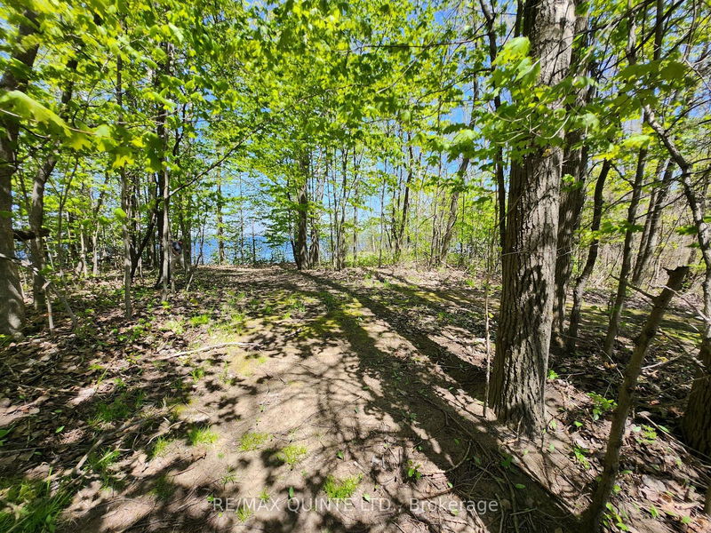 29 & 49 TRUMBLE Lane  Prince Edward County, K0K 2T0 | Image 34