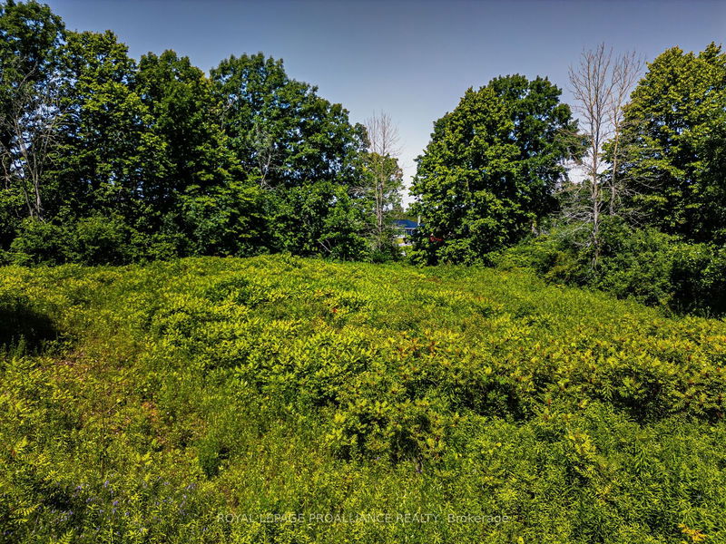 184 Upper Slash Rd  Tyendinaga, K0K 3A0 | Image 10