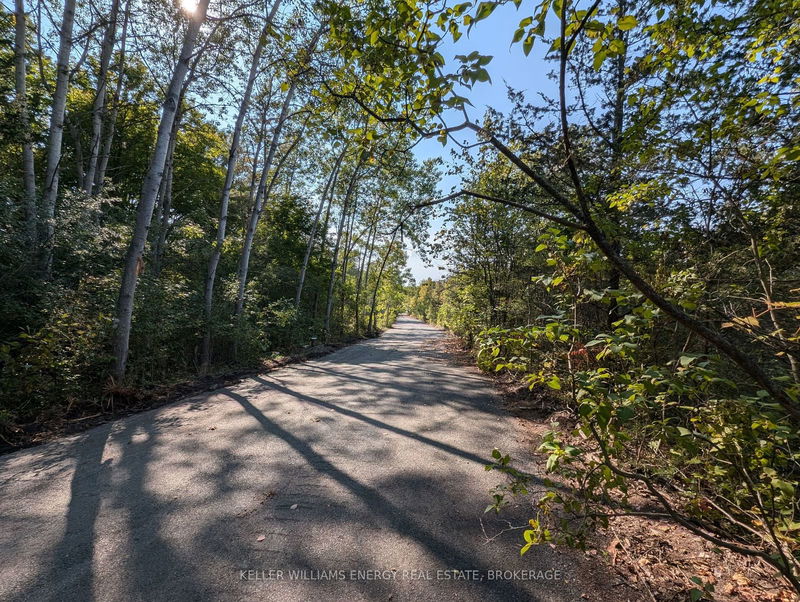 22 Ranger Rd  Prince Edward County, K0K 1A0 | Image 12