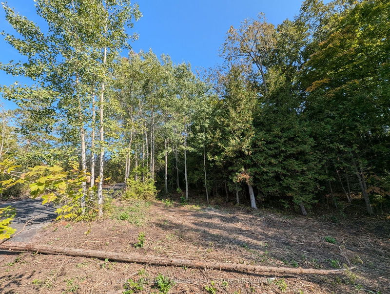 22 Ranger Rd  Prince Edward County, K0K 1A0 | Image 16