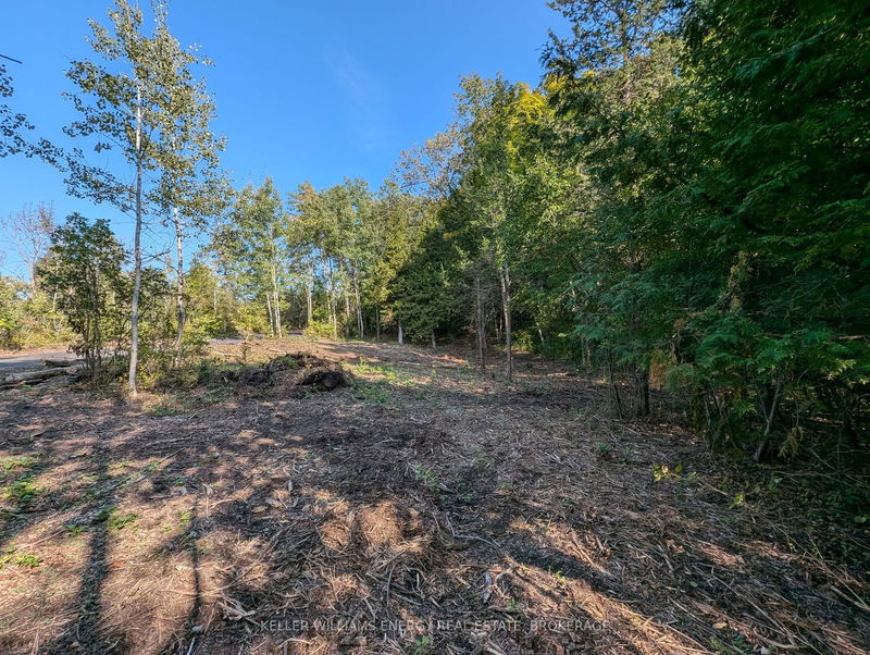 22 Ranger Rd  Prince Edward County, K0K 1A0 | Image 21