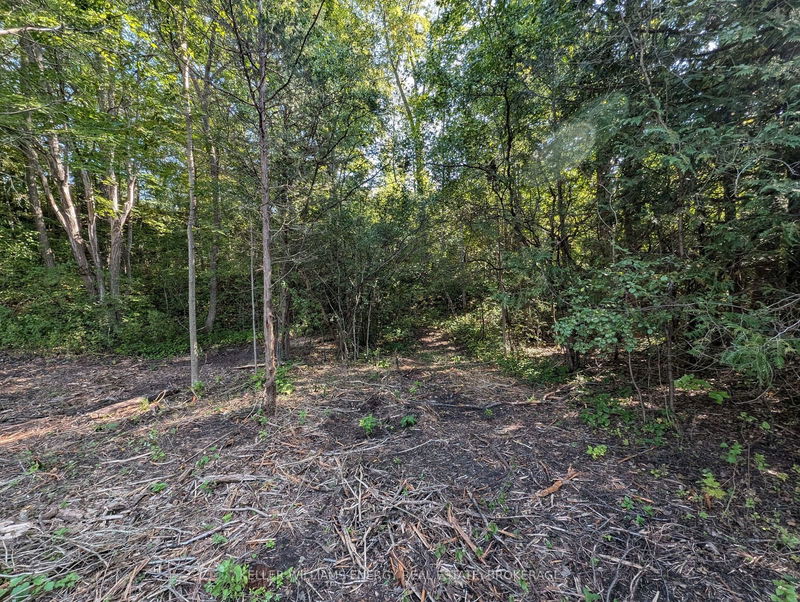 22 Ranger Rd  Prince Edward County, K0K 1A0 | Image 22