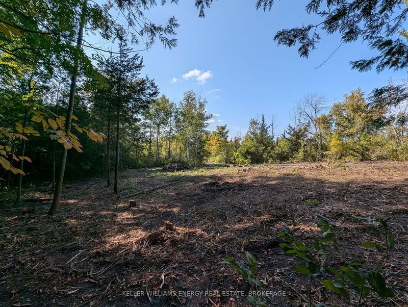 22 Ranger Rd  Prince Edward County, K0K 1A0 | Image 24