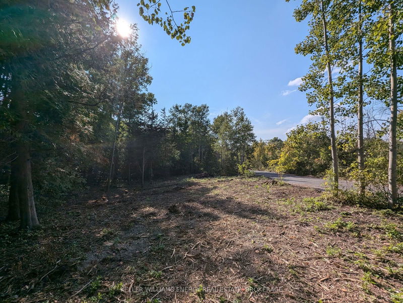 22 Ranger Rd  Prince Edward County, K0K 1A0 | Image 25