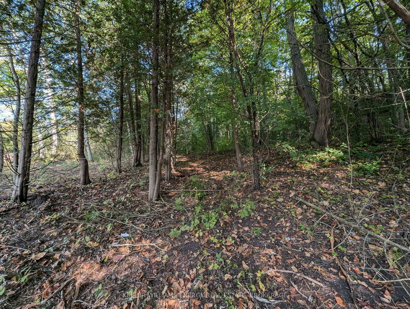 22 Ranger Rd  Prince Edward County, K0K 1A0 | Image 26