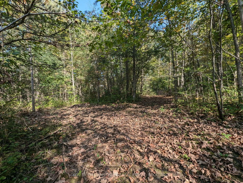 22 Ranger Rd  Prince Edward County, K0K 1A0 | Image 29