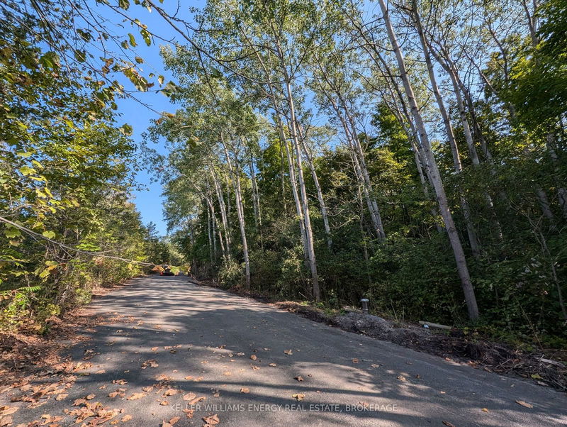 22 Ranger Rd  Prince Edward County, K0K 1A0 | Image 32