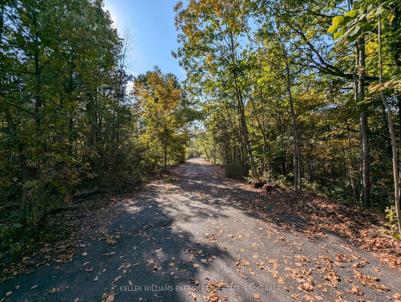 22 Ranger Rd  Prince Edward County, K0K 1A0 | Image 33