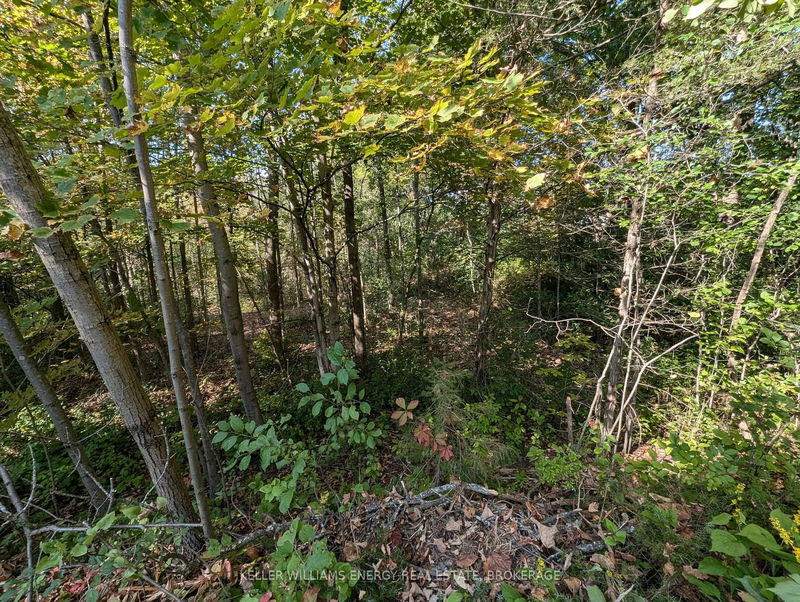 22 Ranger Rd  Prince Edward County, K0K 1A0 | Image 35