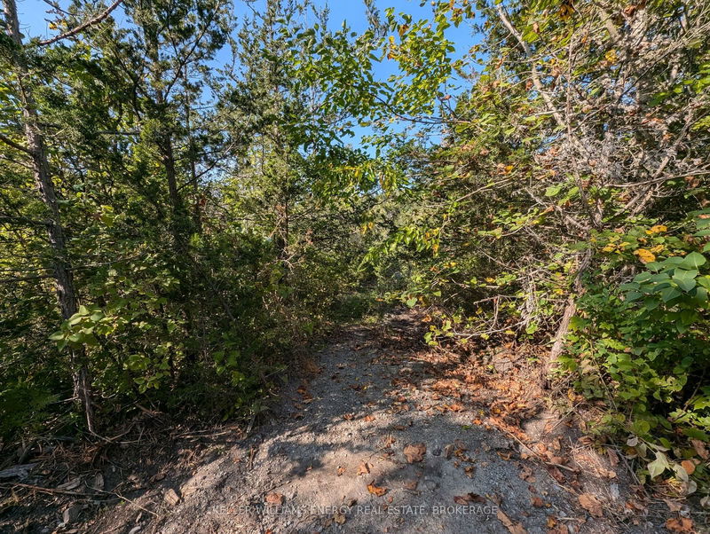 22 Ranger Rd  Prince Edward County, K0K 1A0 | Image 36