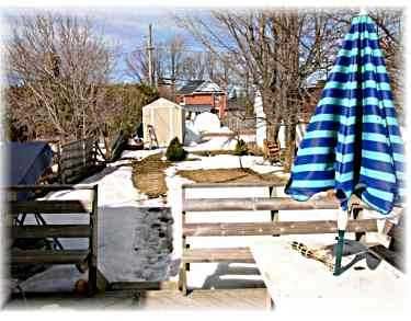 152 Main St W, Shelburne, L0N1S3 | Image 2