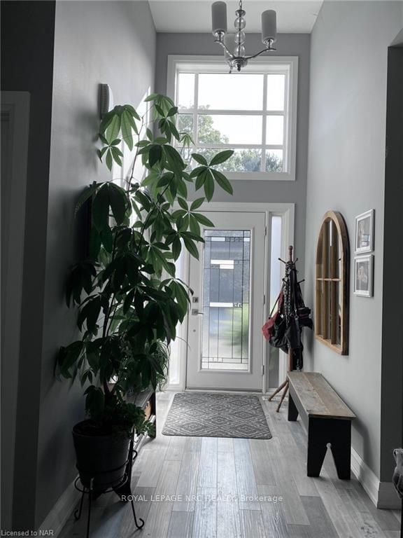 Listing Image 3