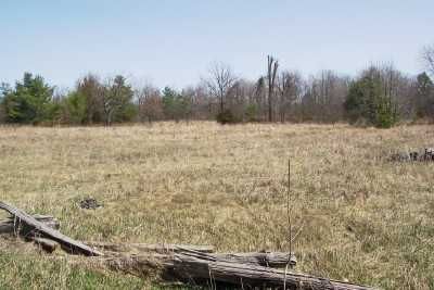 N/A Lahey Rd, Madoc, K0K2K0 | Image 2