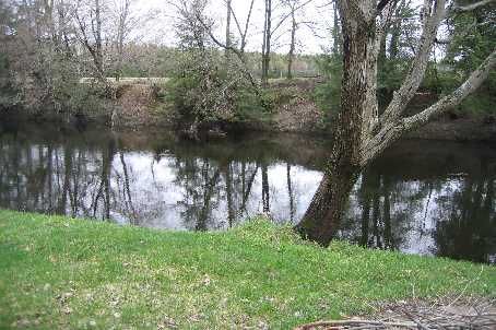 50 River Bend Dr, Kawartha Lakes, K0M2C0 | Image 2