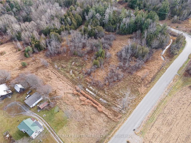 305 Brimley Road