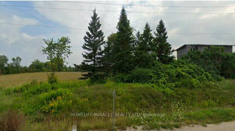 772789 Highway 10, Grey Highlands, N0B 1C0 | Image 2