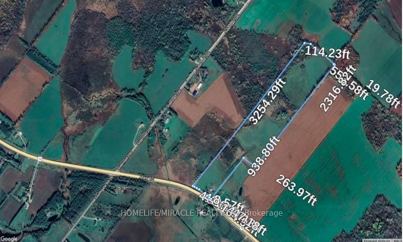 772789 Highway 10, Grey Highlands, N0B 1C0 | Image 3