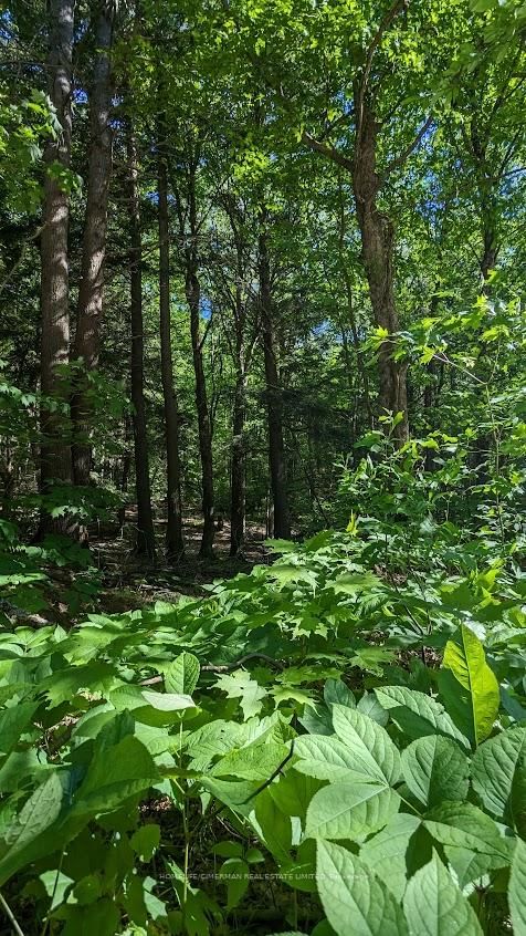 66 McCauley Rd, Seguin, P0C 1J0 | Image 3