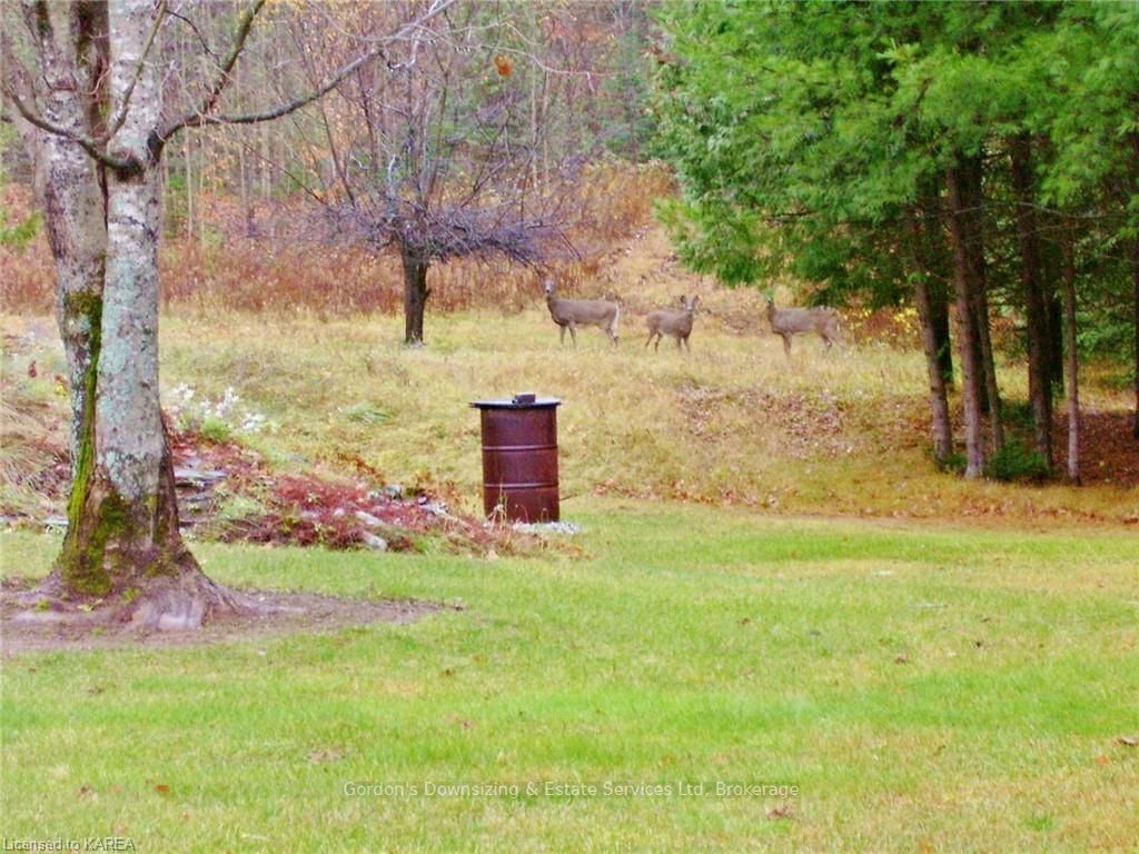 Listing Image 38