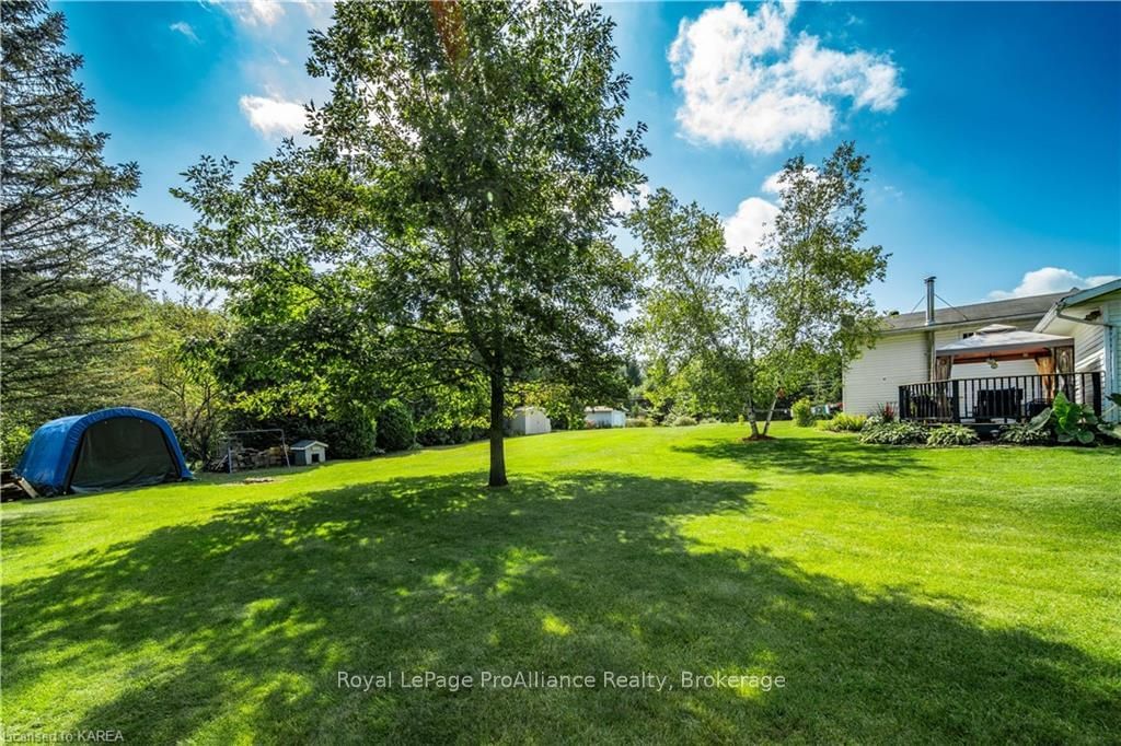 Listing Image 39