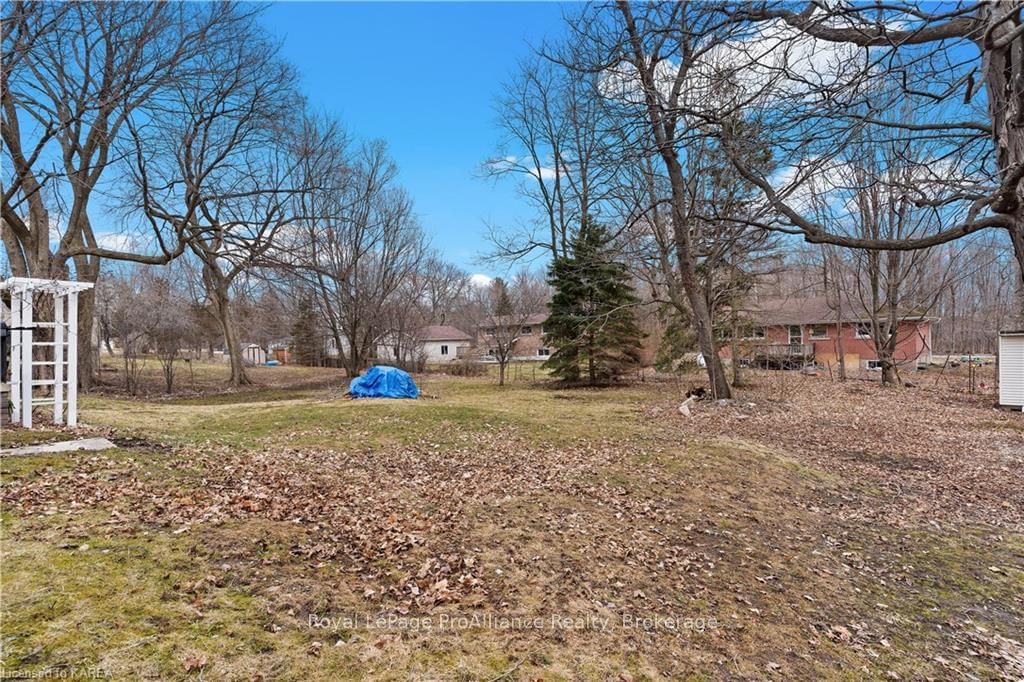 Listing Image 33