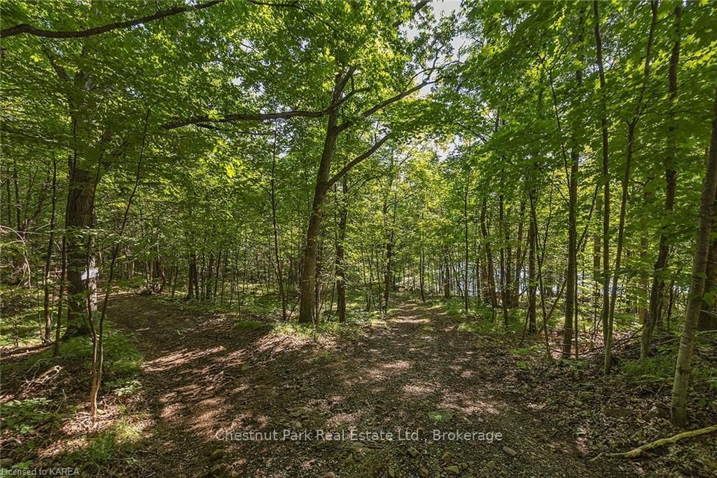 Listing Image 41