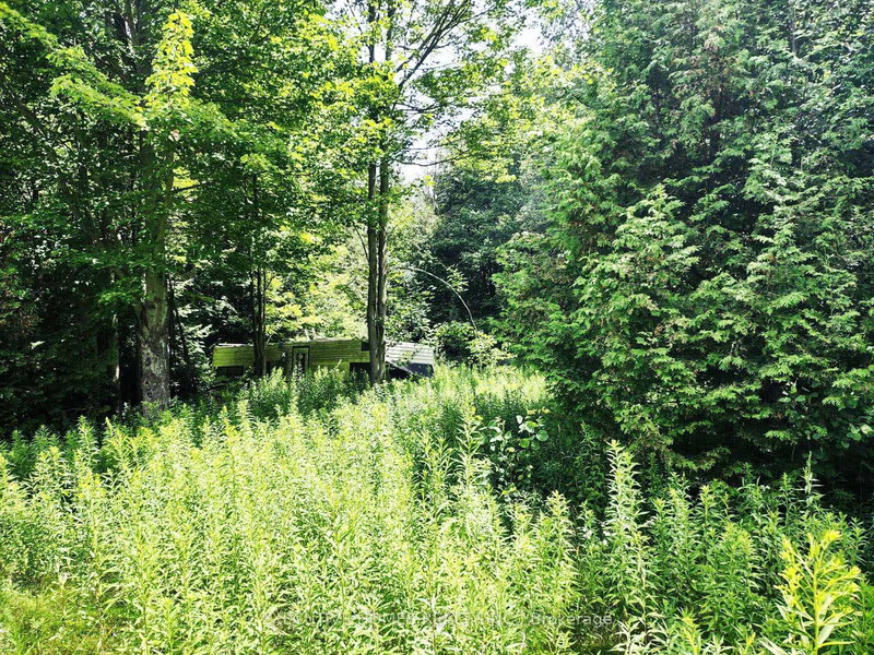 00000 Webster Rd, Port Hope, L1A 3Z9 | Image 3