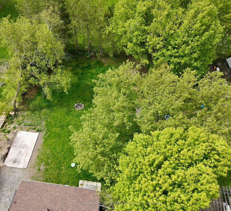 1615 County 46 Rd  Kawartha Lakes, K0M 2T0 | Image 35