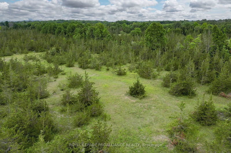 89 POWER Rd  Tyendinaga, K0K 3A0 | Image 16