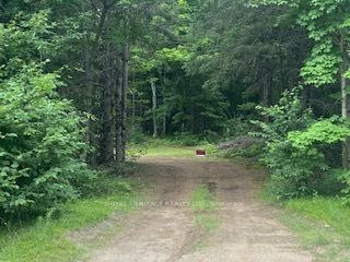 home for sale on 0 Little Papineau Lake Road